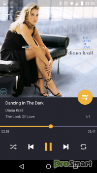 Pulsar Music Player Pro 1.12.5 build 238 [Paid] [Patched] [Mod Extra]