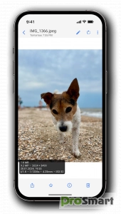 Right Gallery 5.0.3 [Pro]