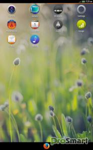 Firefox OS для Nexus 7