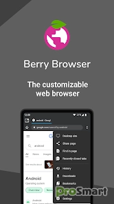 Berry Browser 3.71.39.2 (Mod)