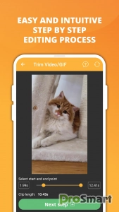 Video & GIF Memes v1.1212 [PRO]