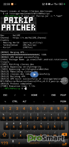 Pairip Patcher v1.3.9