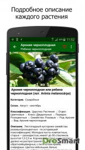 Лекарственные растения 1.5.0 Mod