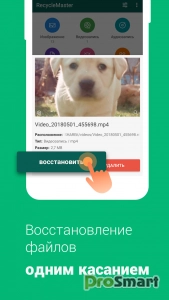 RecycleMaster: Recovery File v1.3.13 b10313 [Premium]