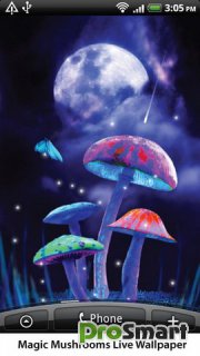 Magic Mushrooms Live Wallpaper 1.01