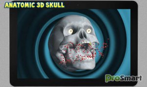 Magic Skull 3D 1.0